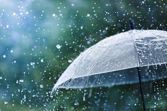 雨に濡れる透明な傘